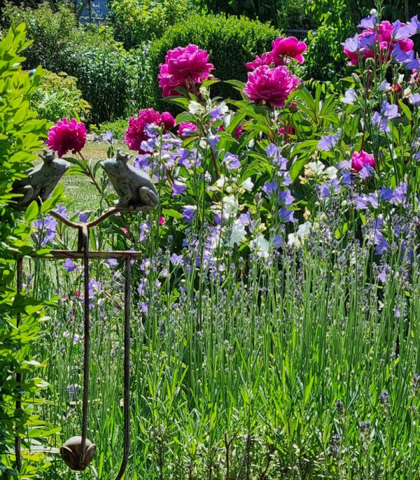 Blumenbeet