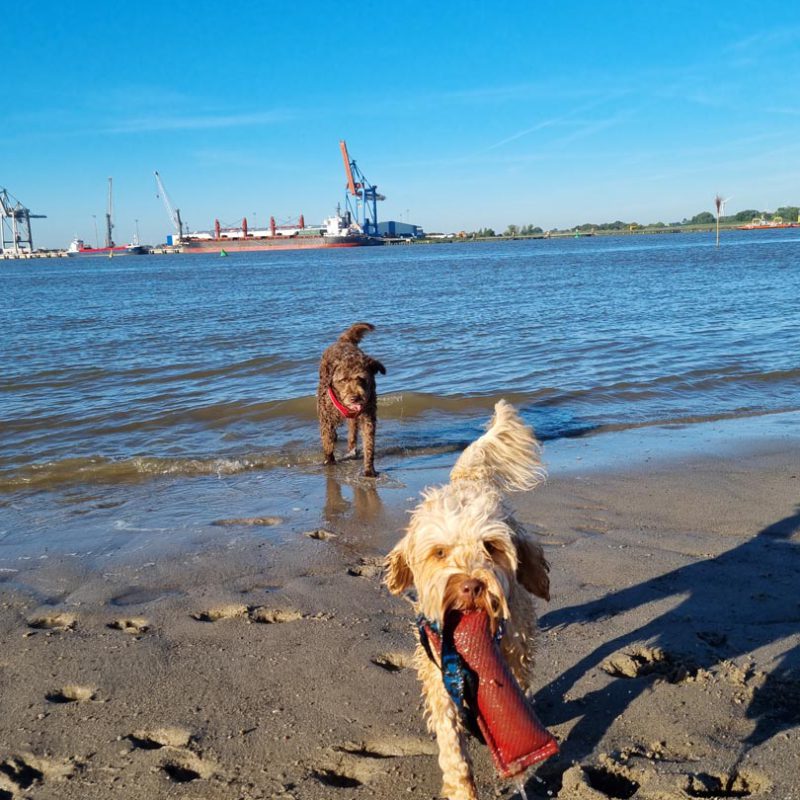 Wesertstrand mit Spielzeug